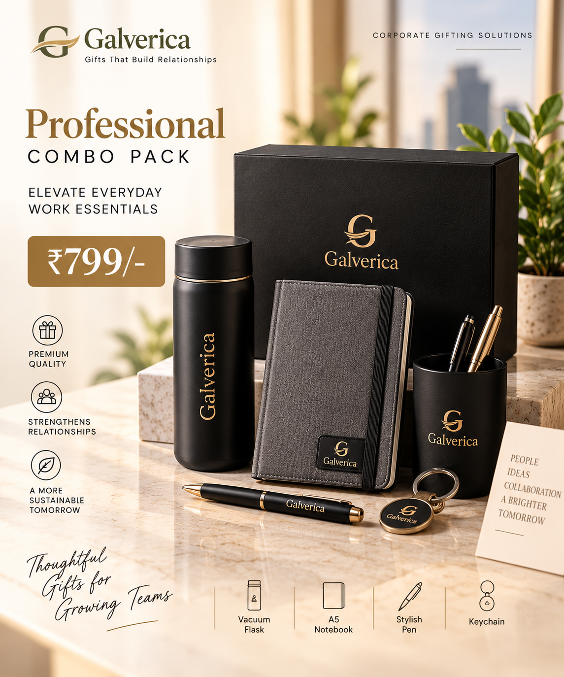 Galverica Starter Corporate Combo Pack